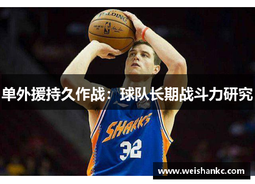 单外援持久作战：球队长期战斗力研究